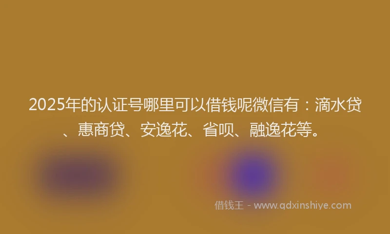 2025年的认证号哪里可以借钱呢微信有：滴水贷、惠商贷、安逸花、省呗、融逸花等。