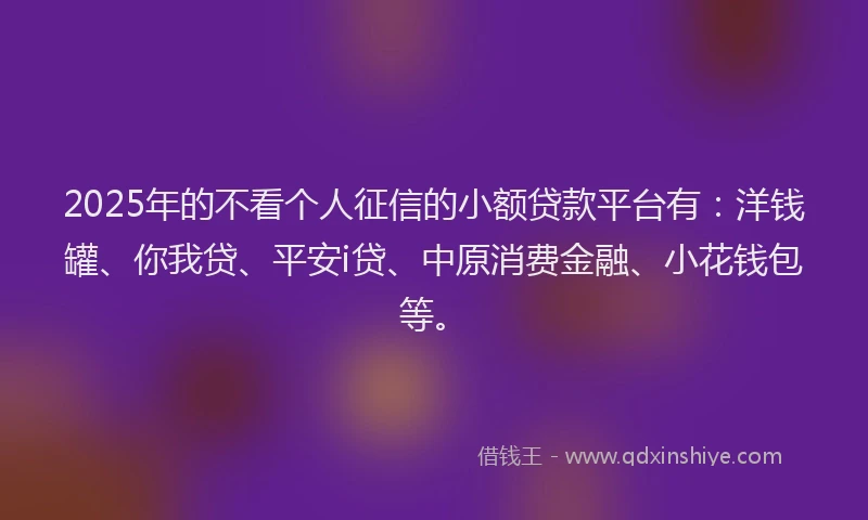 2025年的不看个人征信的小额贷款平台有：洋钱罐、你我贷、平安i贷、中原消费金融、小花钱包等。