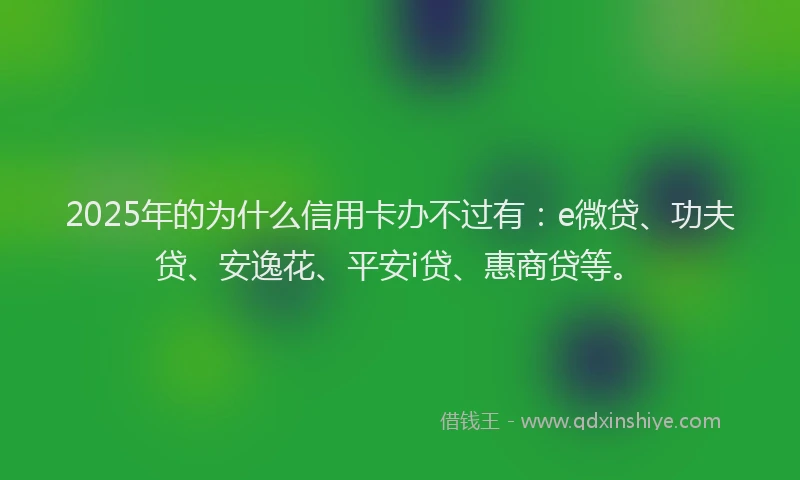 2025年的为什么信用卡办不过有：e微贷、功夫贷、安逸花、平安i贷、惠商贷等。
