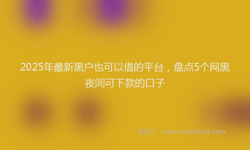 2025年最新黑户也可以借的平台，盘点5个网黑夜间可下款的口子