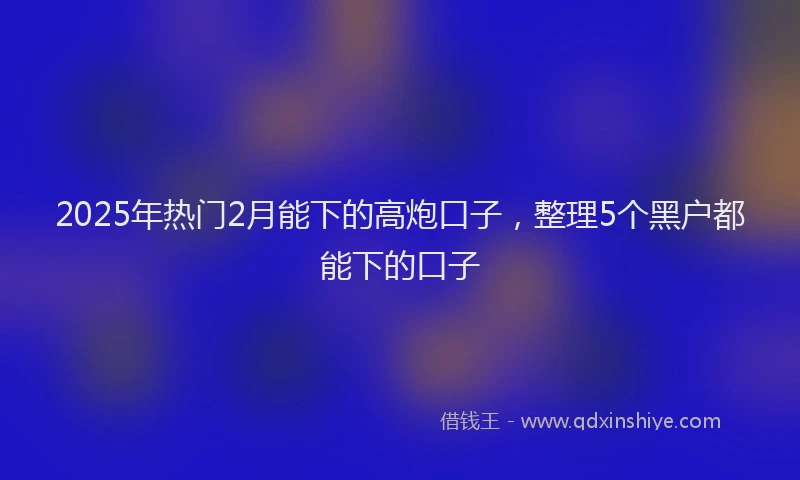 2025年热门2月能下的高炮口子，整理5个黑户都能下的口子