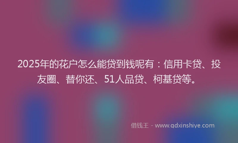 2025年的花户怎么能贷到钱呢有：信用卡贷、投友圈、替你还、51人品贷、柯基贷等。