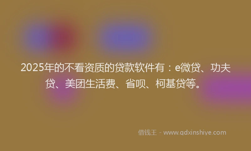 2025年的不看资质的贷款软件有：e微贷、功夫贷、美团生活费、省呗、柯基贷等。