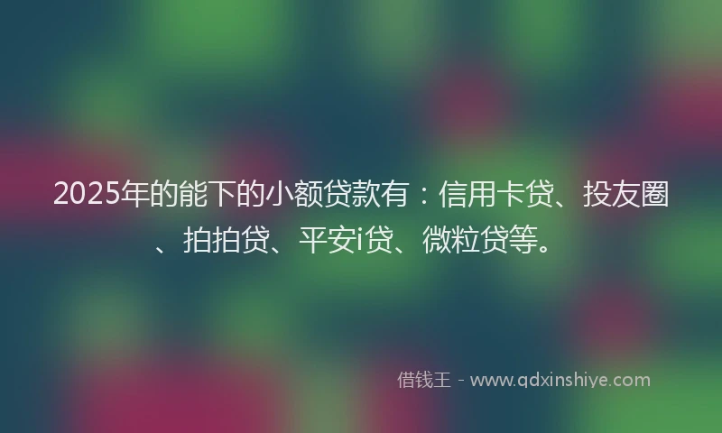 2025年的能下的小额贷款有：信用卡贷、投友圈、拍拍贷、平安i贷、微粒贷等。