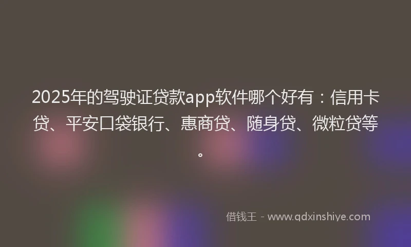 2025年的驾驶证贷款app软件哪个好有：信用卡贷、平安口袋银行、惠商贷、随身贷、微粒贷等。