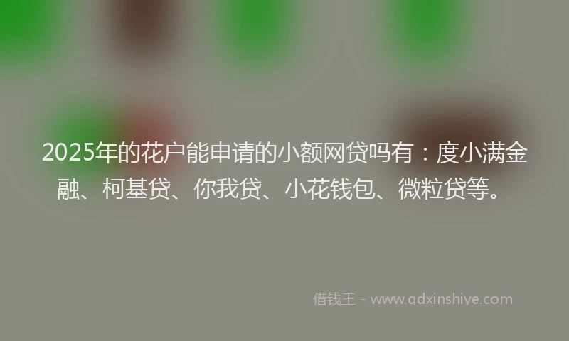 2025年的花户能申请的小额网贷吗有：度小满金融、柯基贷、你我贷、小花钱包、微粒贷等。