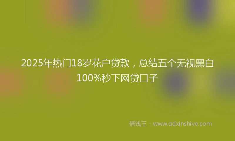 2025年热门18岁花户贷款，总结五个无视黑白100%秒下网贷口子