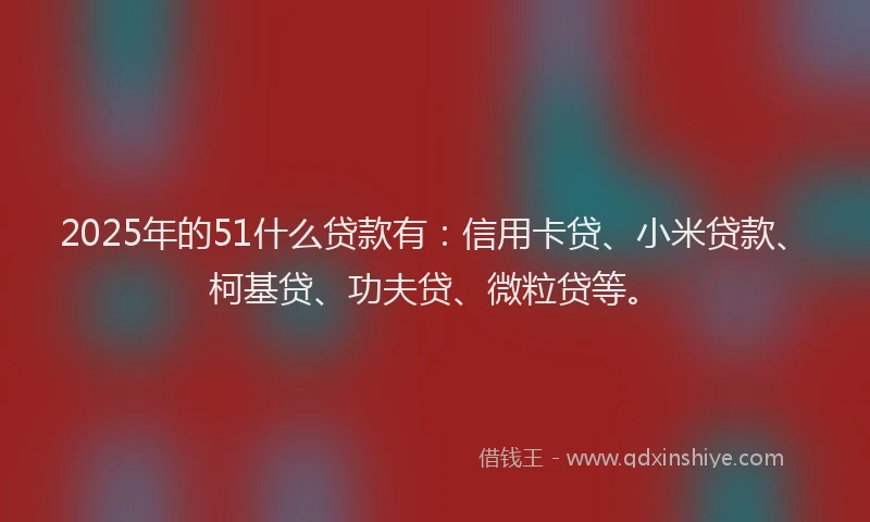 2025年的51什么贷款有：信用卡贷、小米贷款、柯基贷、功夫贷、微粒贷等。