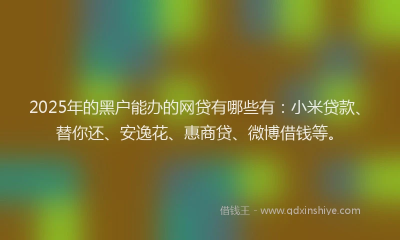 2025年的黑户能办的网贷有哪些有：小米贷款、替你还、安逸花、惠商贷、微博借钱等。