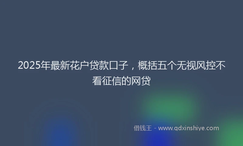 2025年最新花户贷款口子，概括五个无视风控不看征信的网贷