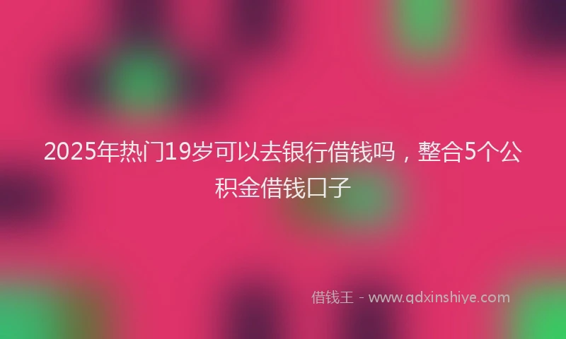2025年热门19岁可以去银行借钱吗，整合5个公积金借钱口子