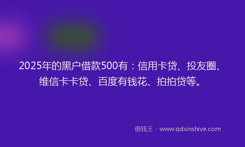 2025年的黑户借款500有：信用卡贷、投友圈、维信卡卡贷、百度有钱花、拍拍贷等。