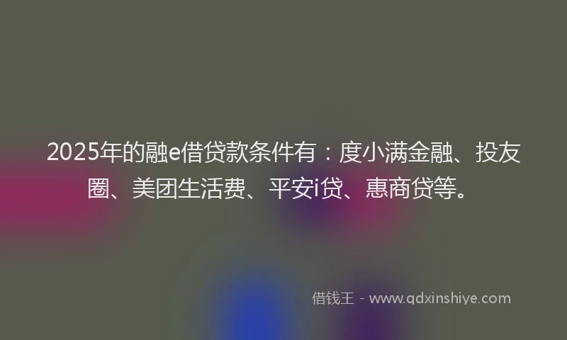 2025年的融e借贷款条件有：度小满金融、投友圈、美团生活费、平安i贷、惠商贷等。