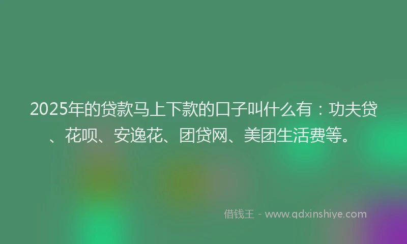 2025年的贷款马上下款的口子叫什么有：功夫贷、花呗、安逸花、团贷网、美团生活费等。