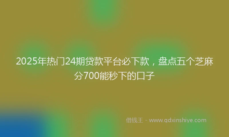 2025年热门24期贷款平台必下款，盘点五个芝麻分700能秒下的口子