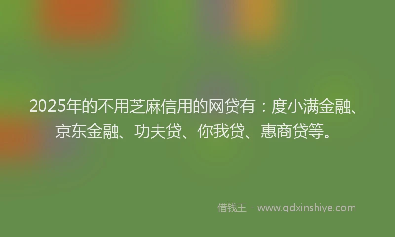 2025年的不用芝麻信用的网贷有：度小满金融、京东金融、功夫贷、你我贷、惠商贷等。