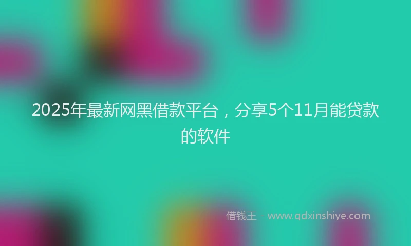 2025年最新网黑借款平台，分享5个11月能贷款的软件