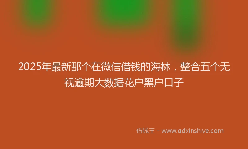 2025年最新那个在微信借钱的海林，整合五个无视逾期大数据花户黑户口子