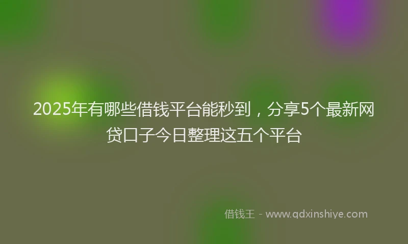 2025年有哪些借钱平台能秒到，分享5个最新网贷口子今日整理这五个平台