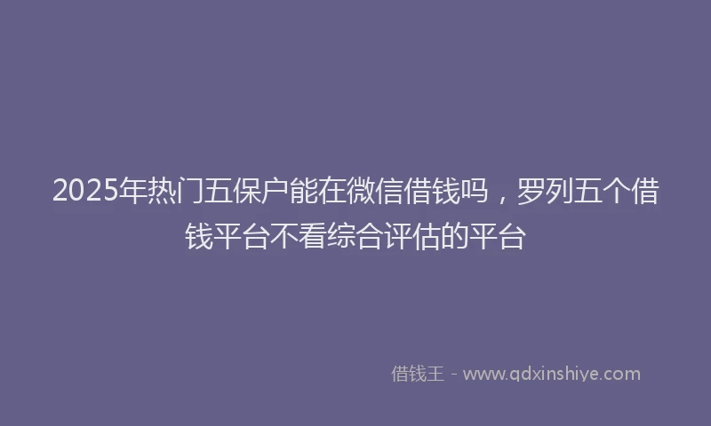 2025年热门五保户能在微信借钱吗，罗列五个借钱平台不看综合评估的平台