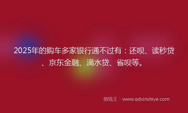 2025年的购车多家银行通不过有：还呗、读秒贷、京东金融、滴水贷、省呗等。