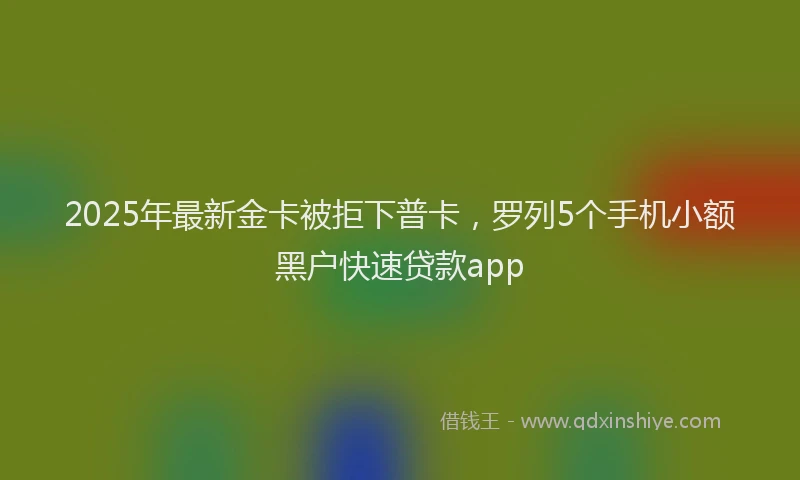 2025年最新金卡被拒下普卡，罗列5个手机小额黑户快速贷款app