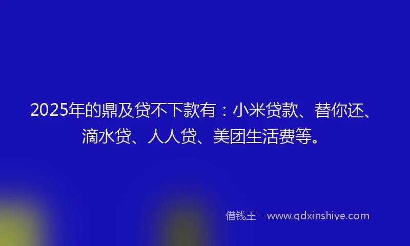 2025年的鼎及贷不下款有：小米贷款、替你还、滴水贷、人人贷、美团生活费等。