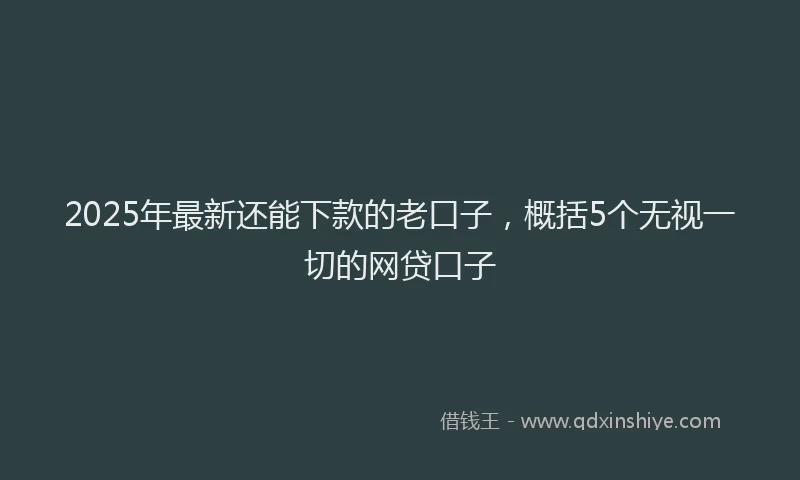 2025年最新还能下款的老口子，概括5个无视一切的网贷口子