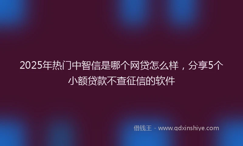 2025年热门中智信是哪个网贷怎么样，分享5个小额贷款不查征信的软件