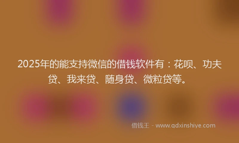 2025年的能支持微信的借钱软件有：花呗、功夫贷、我来贷、随身贷、微粒贷等。