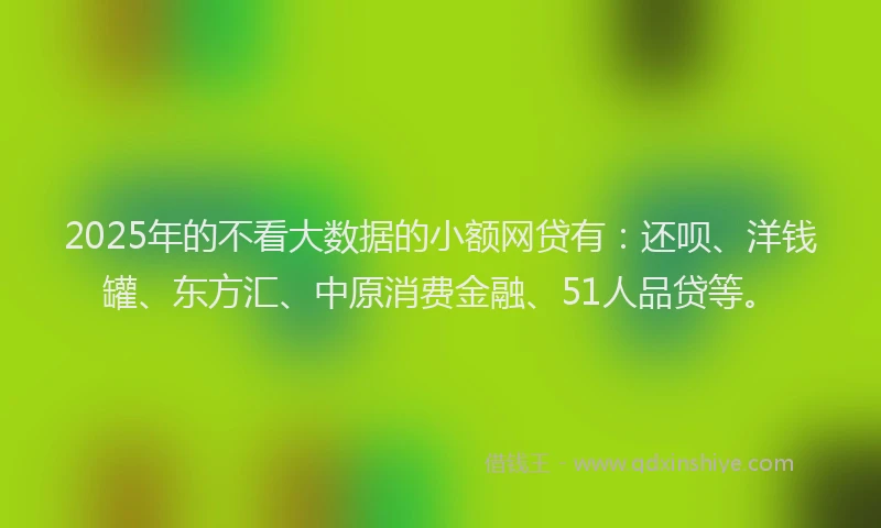 2025年的不看大数据的小额网贷有：还呗、洋钱罐、东方汇、中原消费金融、51人品贷等。