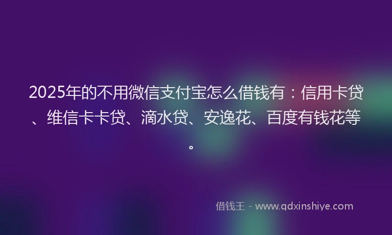 2025年的不用微信支付宝怎么借钱有：信用卡贷、维信卡卡贷、滴水贷、安逸花、百度有钱花等。