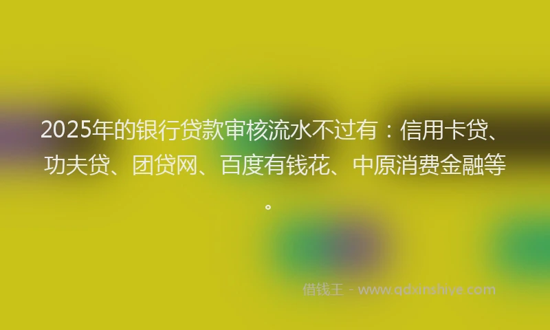 2025年的银行贷款审核流水不过有：信用卡贷、功夫贷、团贷网、百度有钱花、中原消费金融等。