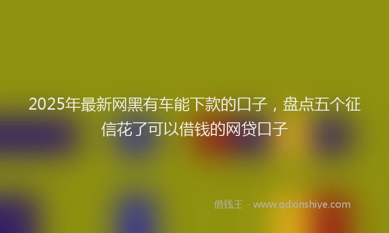2025年最新网黑有车能下款的口子，盘点五个征信花了可以借钱的网贷口子