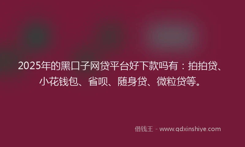 2025年的黑口子网贷平台好下款吗有：拍拍贷、小花钱包、省呗、随身贷、微粒贷等。