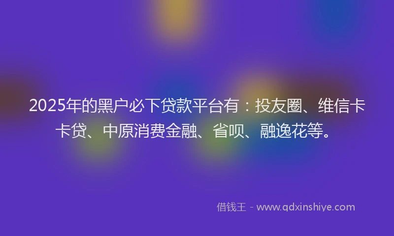 2025年的黑户必下贷款平台有：投友圈、维信卡卡贷、中原消费金融、省呗、融逸花等。