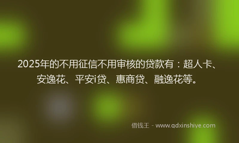 2025年的不用征信不用审核的贷款有：超人卡、安逸花、平安i贷、惠商贷、融逸花等。