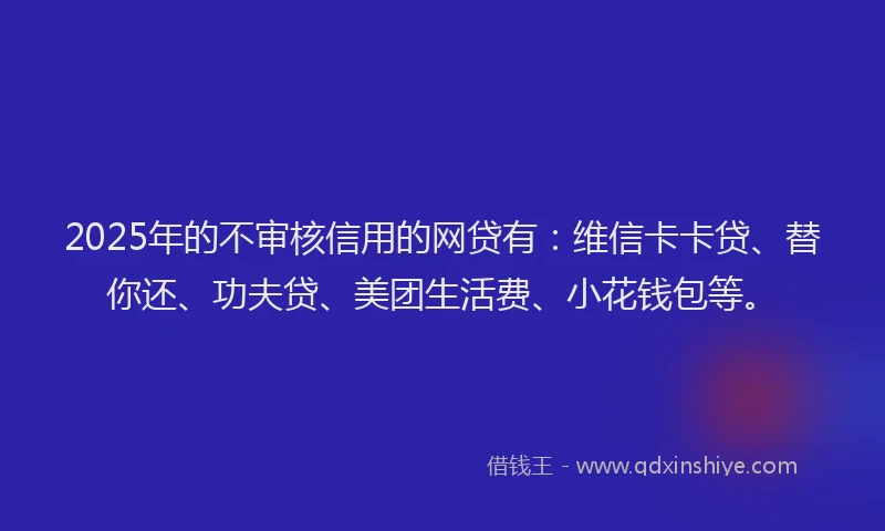2025年的不审核信用的网贷有：维信卡卡贷、替你还、功夫贷、美团生活费、小花钱包等。