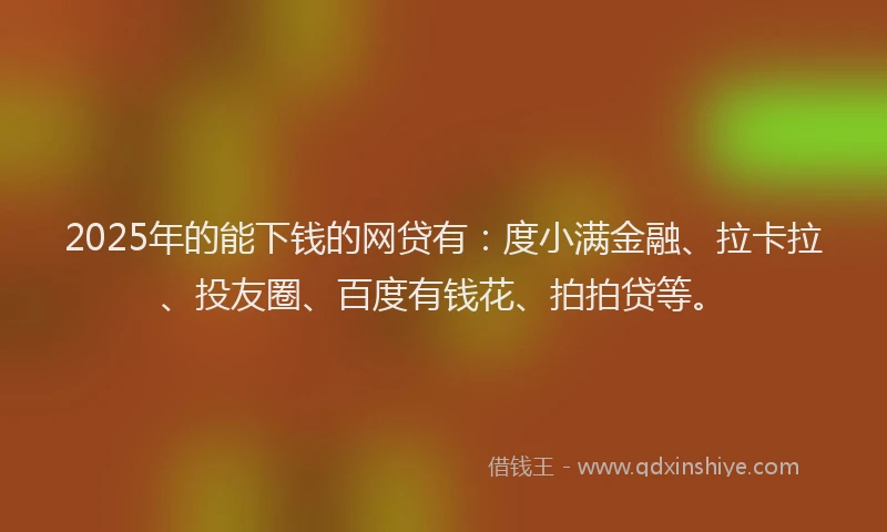 2025年的能下钱的网贷有：度小满金融、拉卡拉、投友圈、百度有钱花、拍拍贷等。