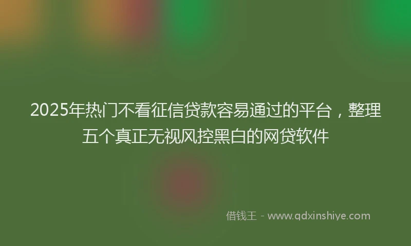 2025年热门不看征信贷款容易通过的平台，整理五个真正无视风控黑白的网贷软件