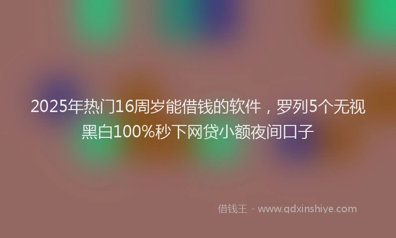 2025年热门16周岁能借钱的软件，罗列5个无视黑白100%秒下网贷小额夜间口子