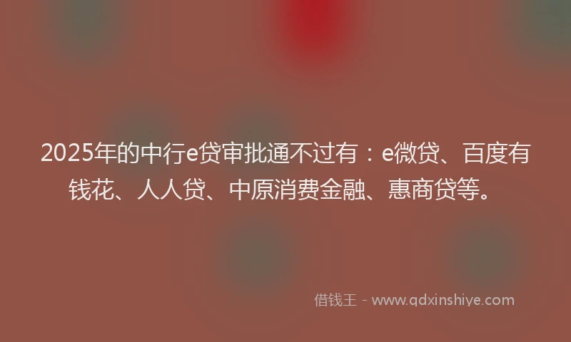 2025年的中行e贷审批通不过有：e微贷、百度有钱花、人人贷、中原消费金融、惠商贷等。