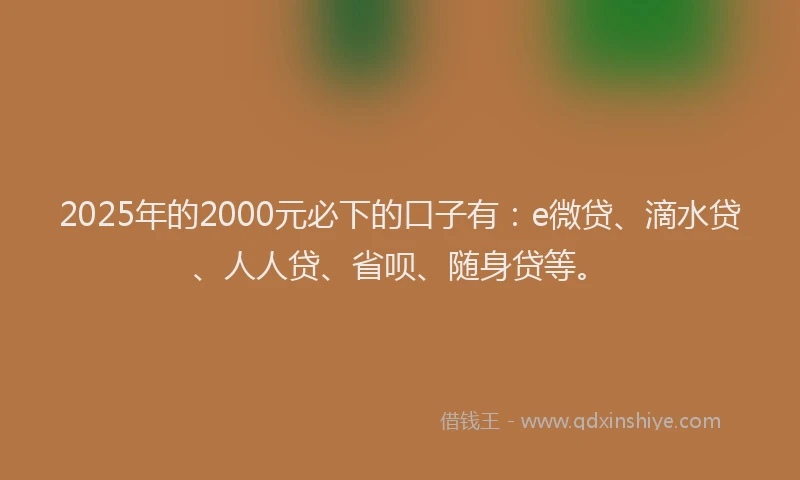 2025年的2000元必下的口子有：e微贷、滴水贷、人人贷、省呗、随身贷等。