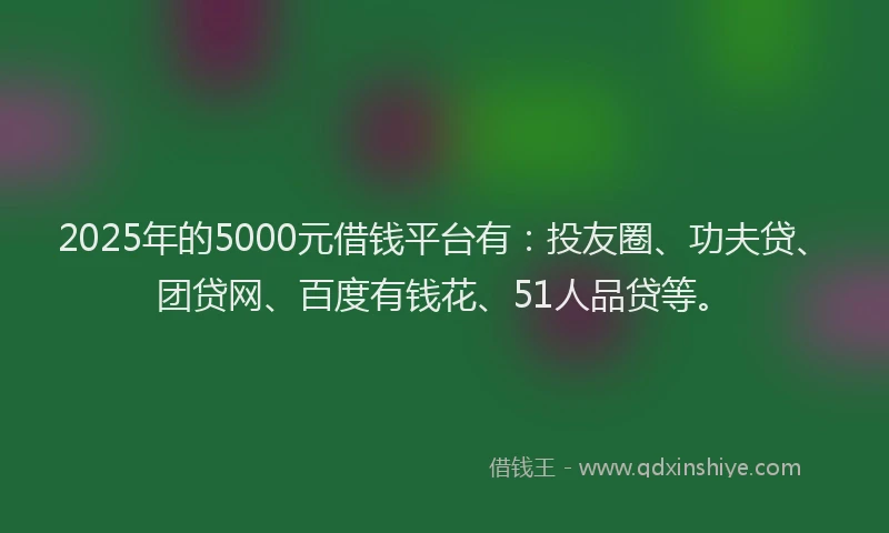 2025年的5000元借钱平台有：投友圈、功夫贷、团贷网、百度有钱花、51人品贷等。