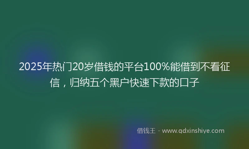 2025年热门20岁借钱的平台100%能借到不看征信，归纳五个黑户快速下款的口子