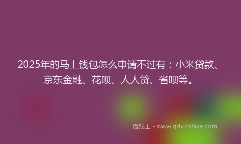 2025年的马上钱包怎么申请不过有：小米贷款、京东金融、花呗、人人贷、省呗等。