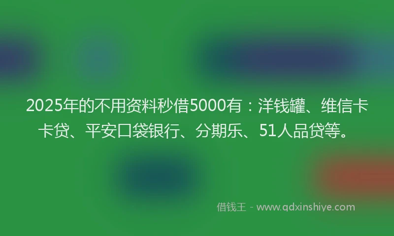 2025年的不用资料秒借5000有：洋钱罐、维信卡卡贷、平安口袋银行、分期乐、51人品贷等。