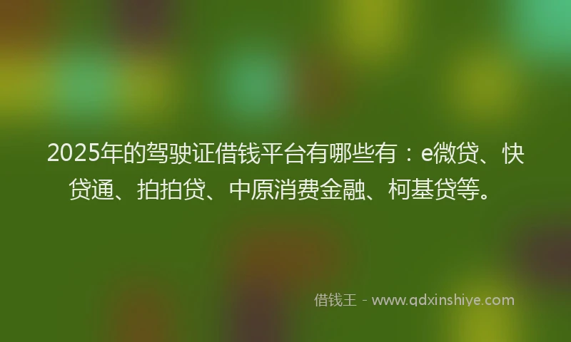 2025年的驾驶证借钱平台有哪些有：e微贷、快贷通、拍拍贷、中原消费金融、柯基贷等。