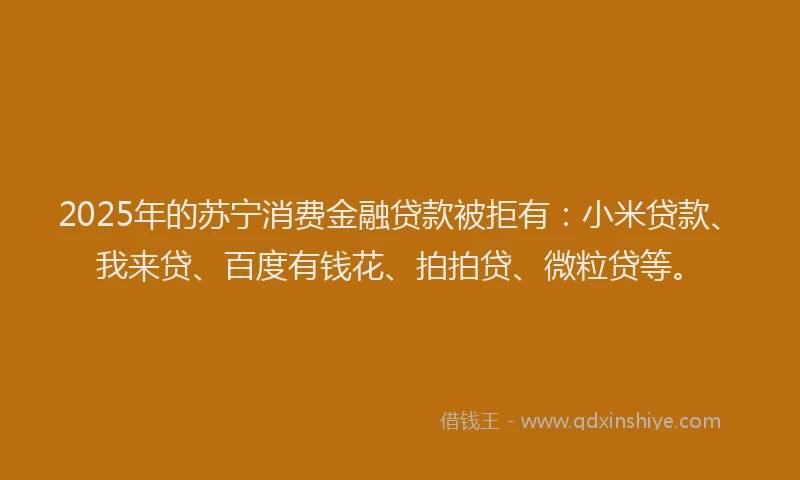 2025年的苏宁消费金融贷款被拒有：小米贷款、我来贷、百度有钱花、拍拍贷、微粒贷等。