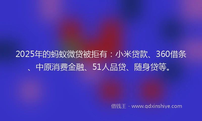 2025年的蚂蚁微贷被拒有：小米贷款、360借条、中原消费金融、51人品贷、随身贷等。
